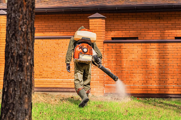 Top rated local Cockroach Control specialists in Linton Hall, VA